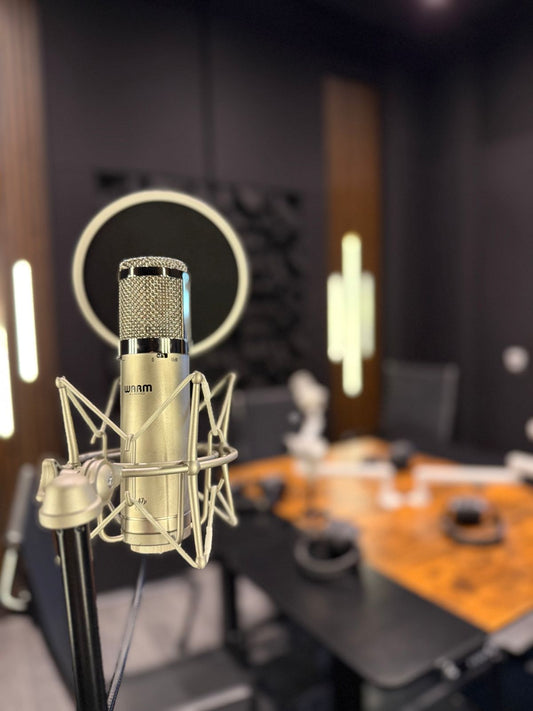PRODUCCIÓN MUSICAL